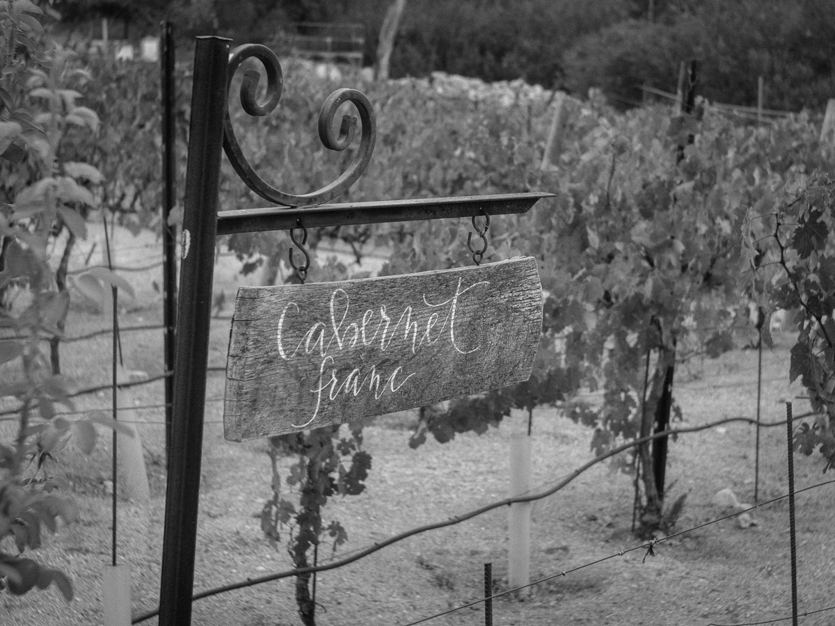 On location in the California countryside