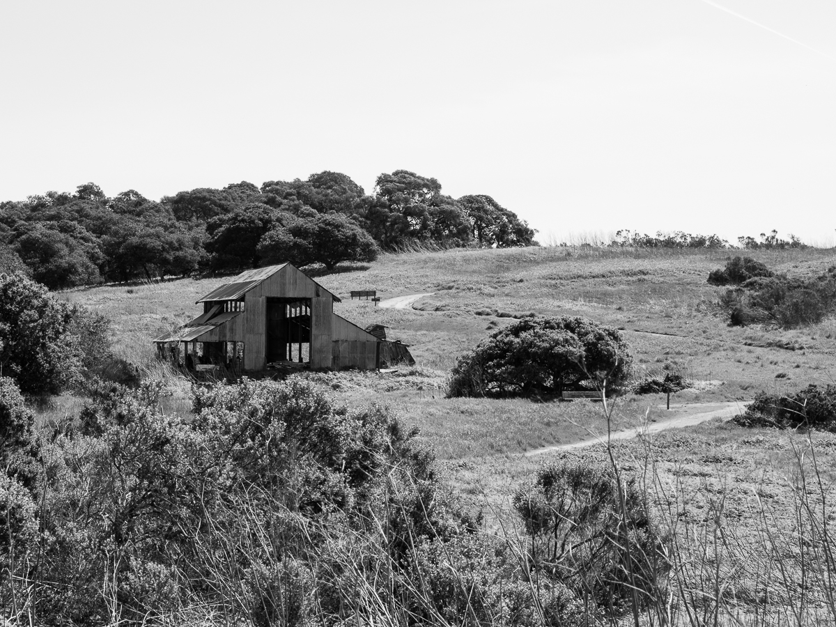 Old Barns