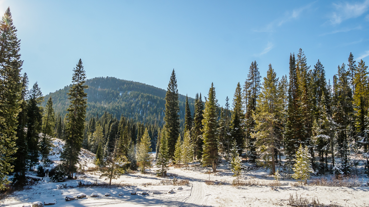 Walking in a winter wonderland….